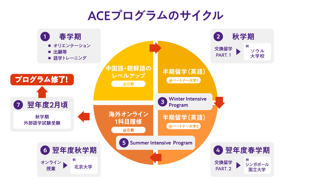 ACEプログラム概要
